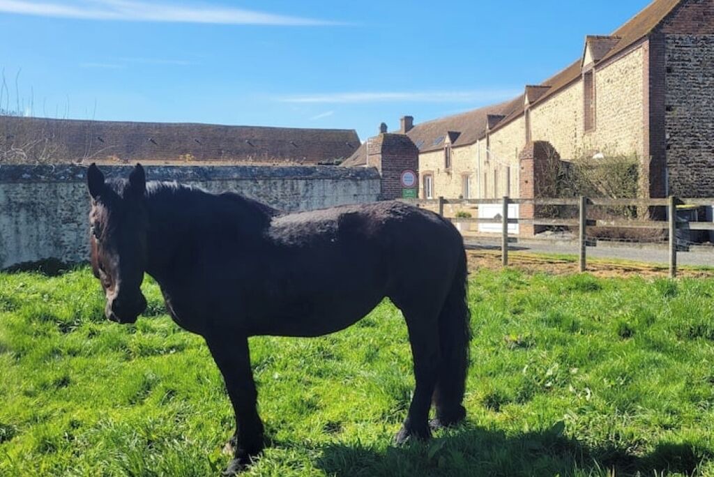 Photo of Others in Belhomert-Guehouville