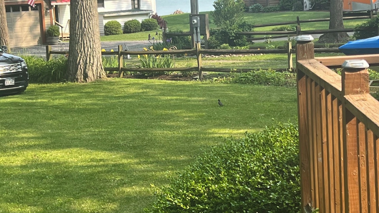 Photo of Outdoor in Valois