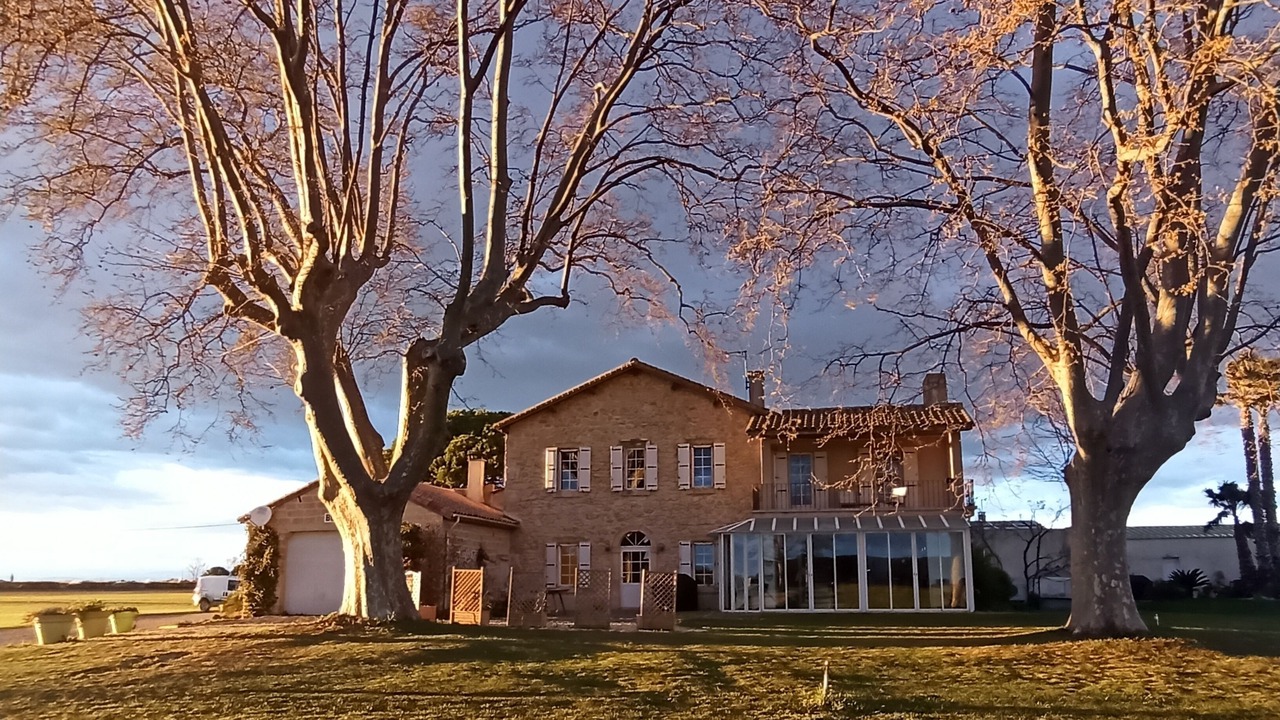 Photo of Outdoor in Saint-Laurent-d'Aigouze