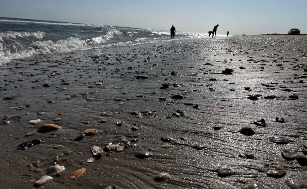 Photo of Others in Ocracoke