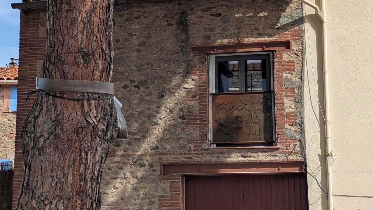 Photo of Outdoor in Corneilla-del-Vercol