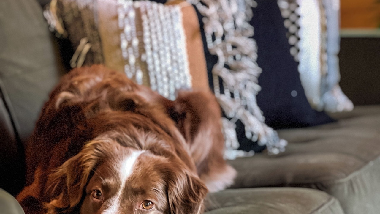 Photo of Others in Elka Park