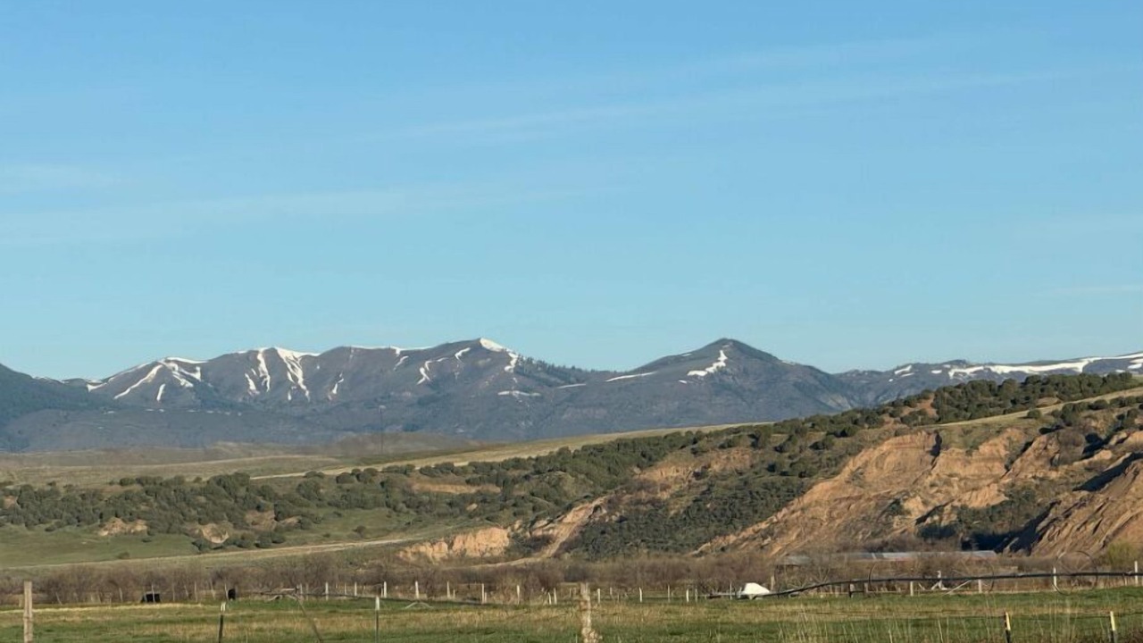 Photo of Others in Preston