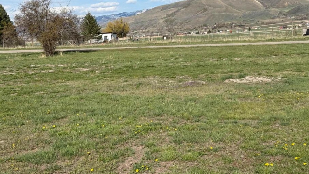 Photo of Others in Preston