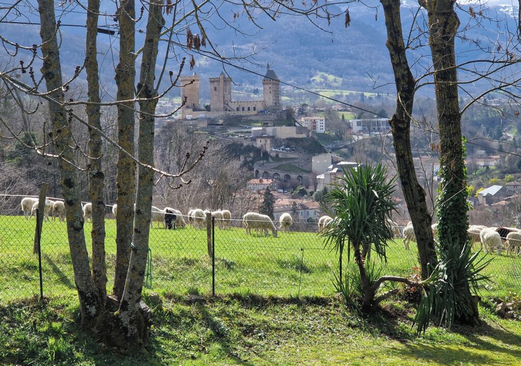 Photo of Others in Foix