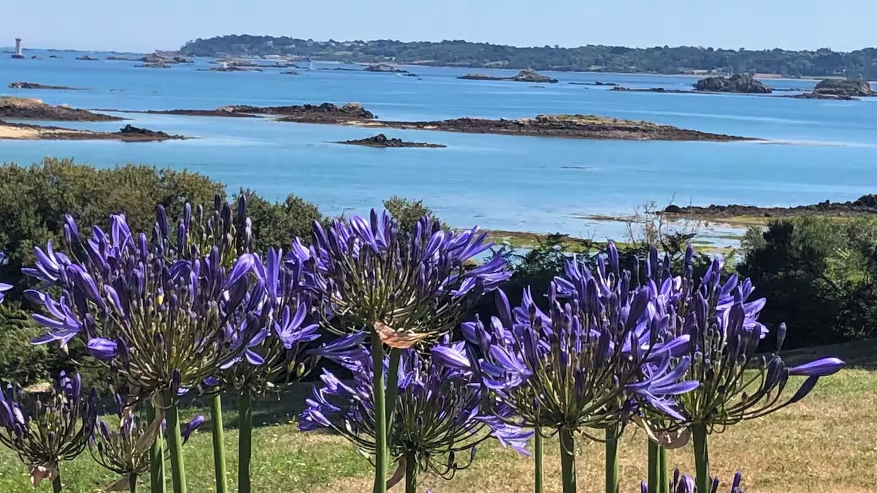 Photo of Others in Lanmodez