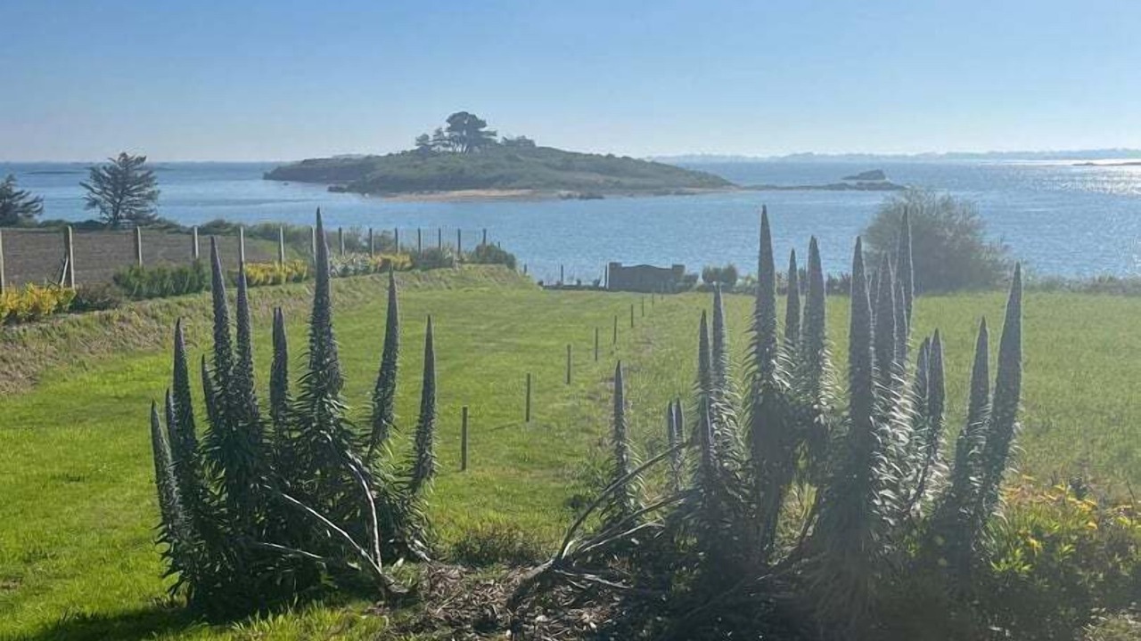 Photo of Others in Lanmodez