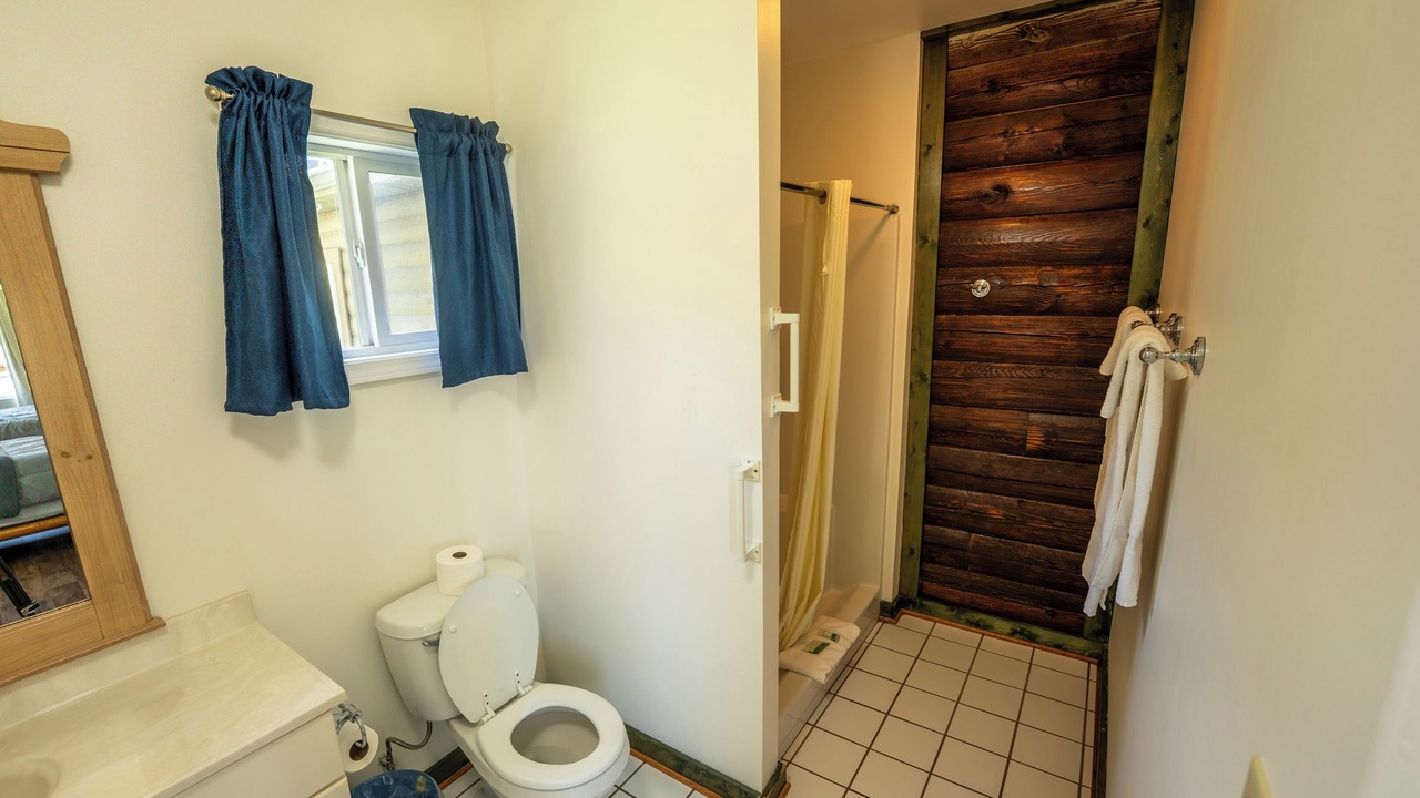 Photo of Bathroom in Buchanan