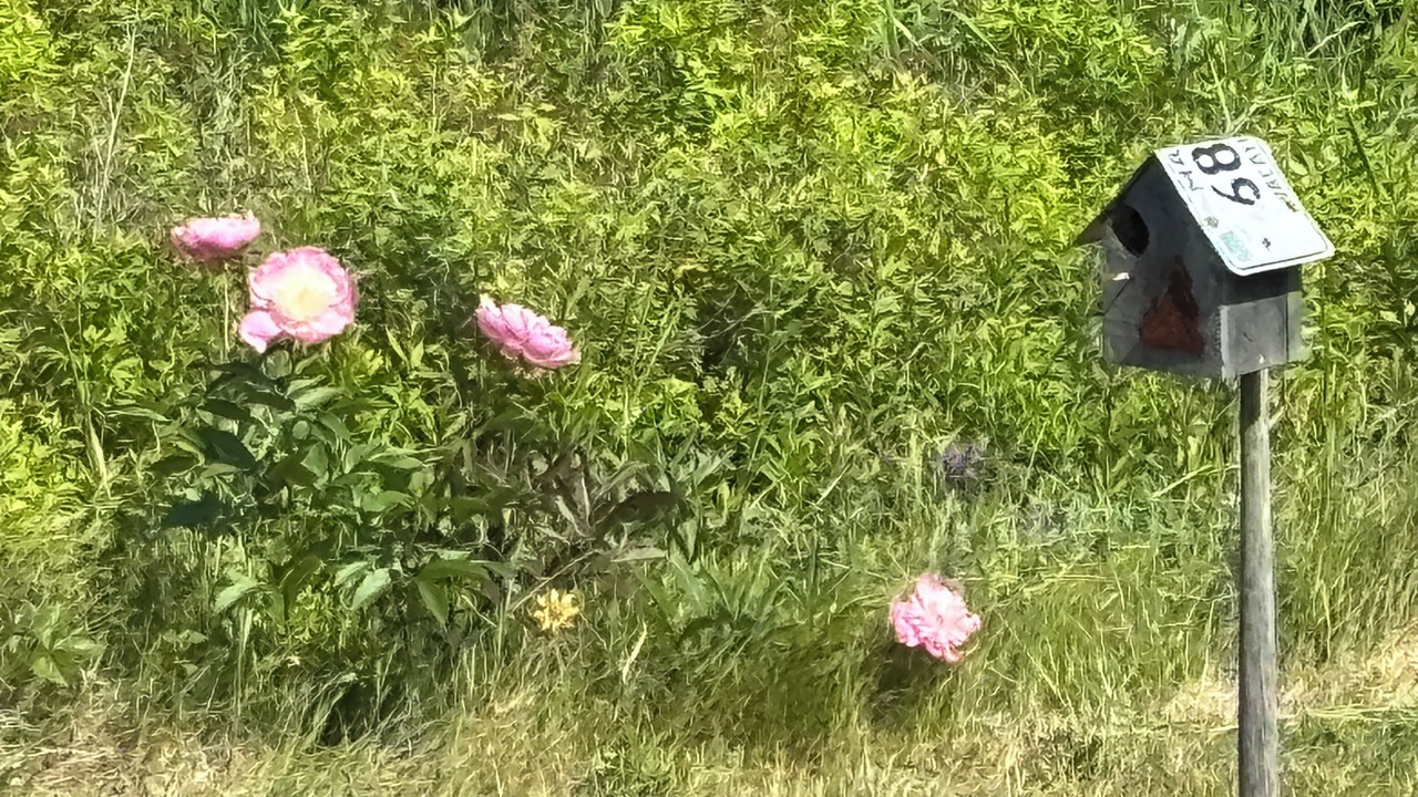 Photo of Others in Cutler