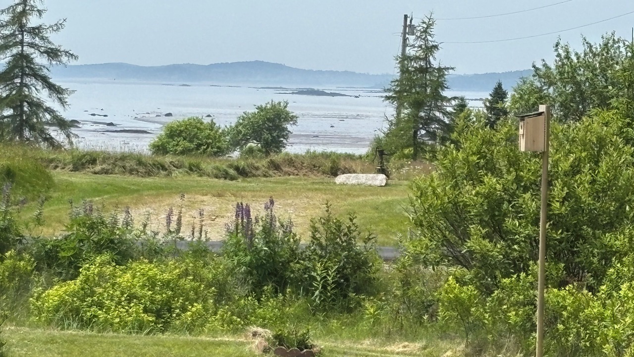 Photo of Others in Cutler