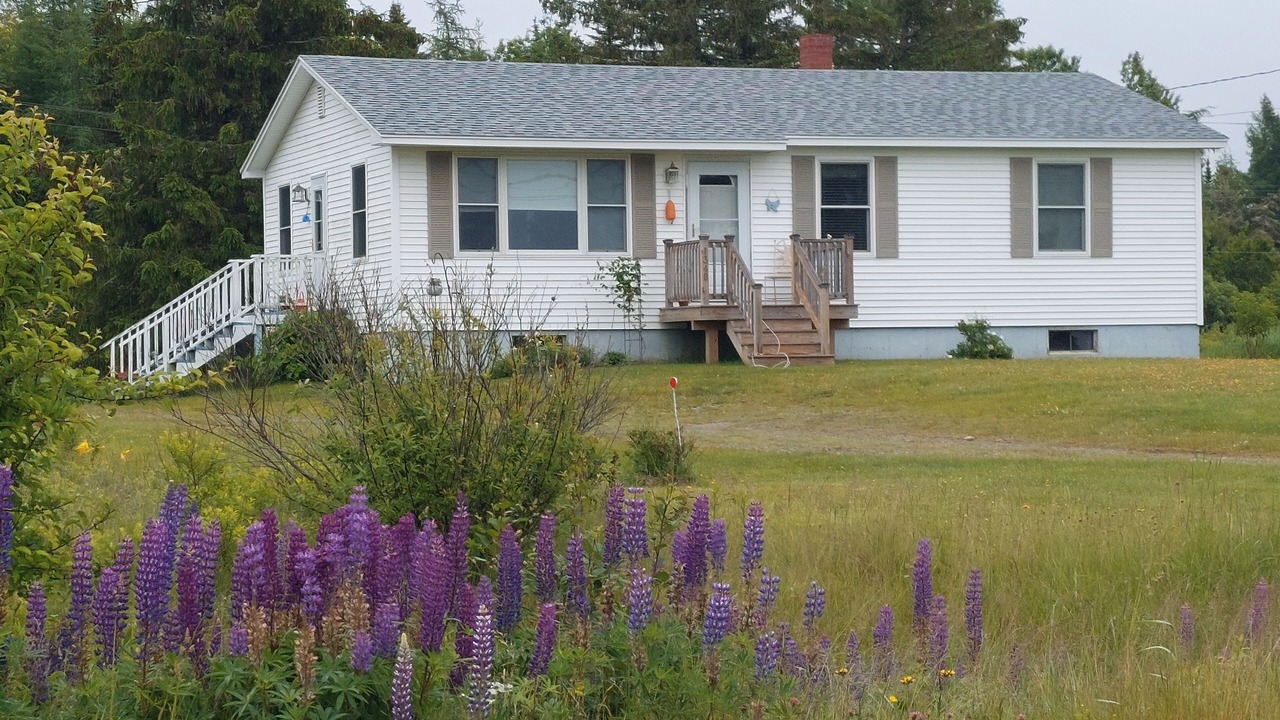 Photo of Outdoor in Cutler