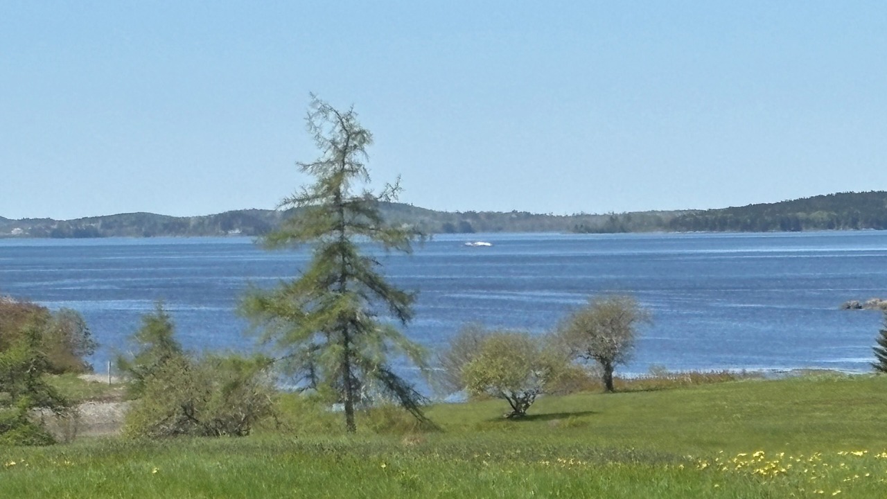 Photo of Others in Cutler