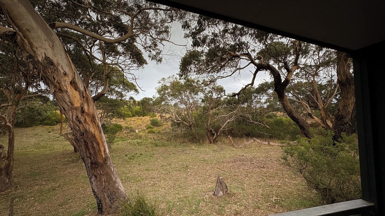 Photo of Others in Cape Otway
