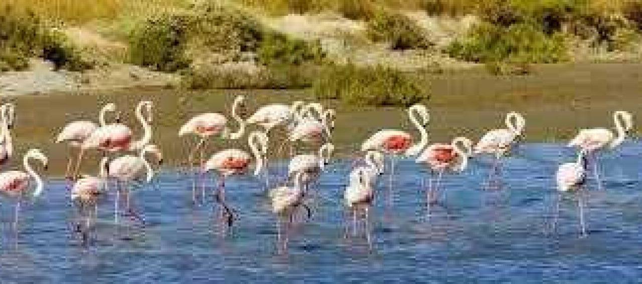 Photo of Others in Bollene