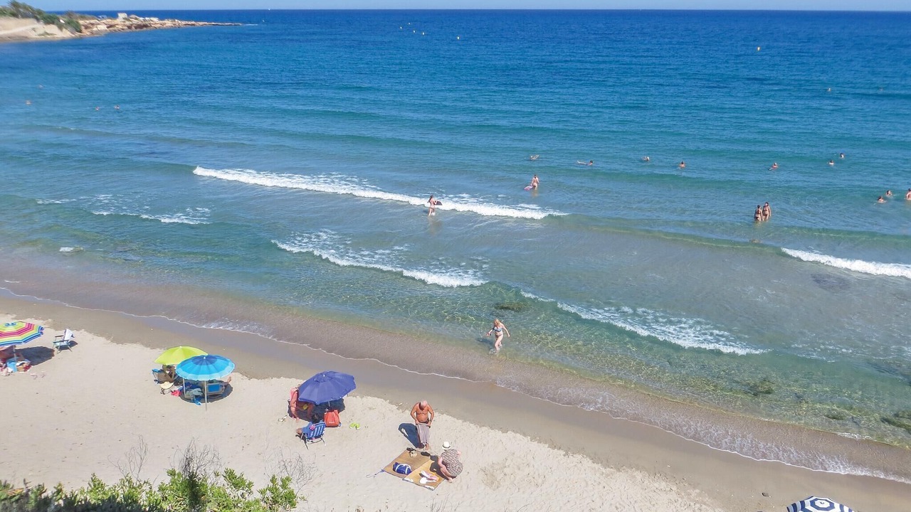 Photo of Others in Orihuela Costa