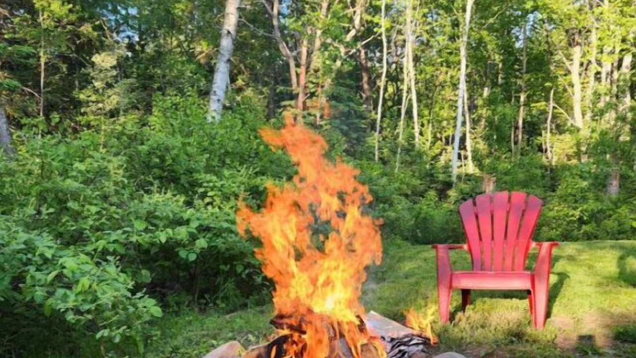 Photo of Outdoor in Amherst