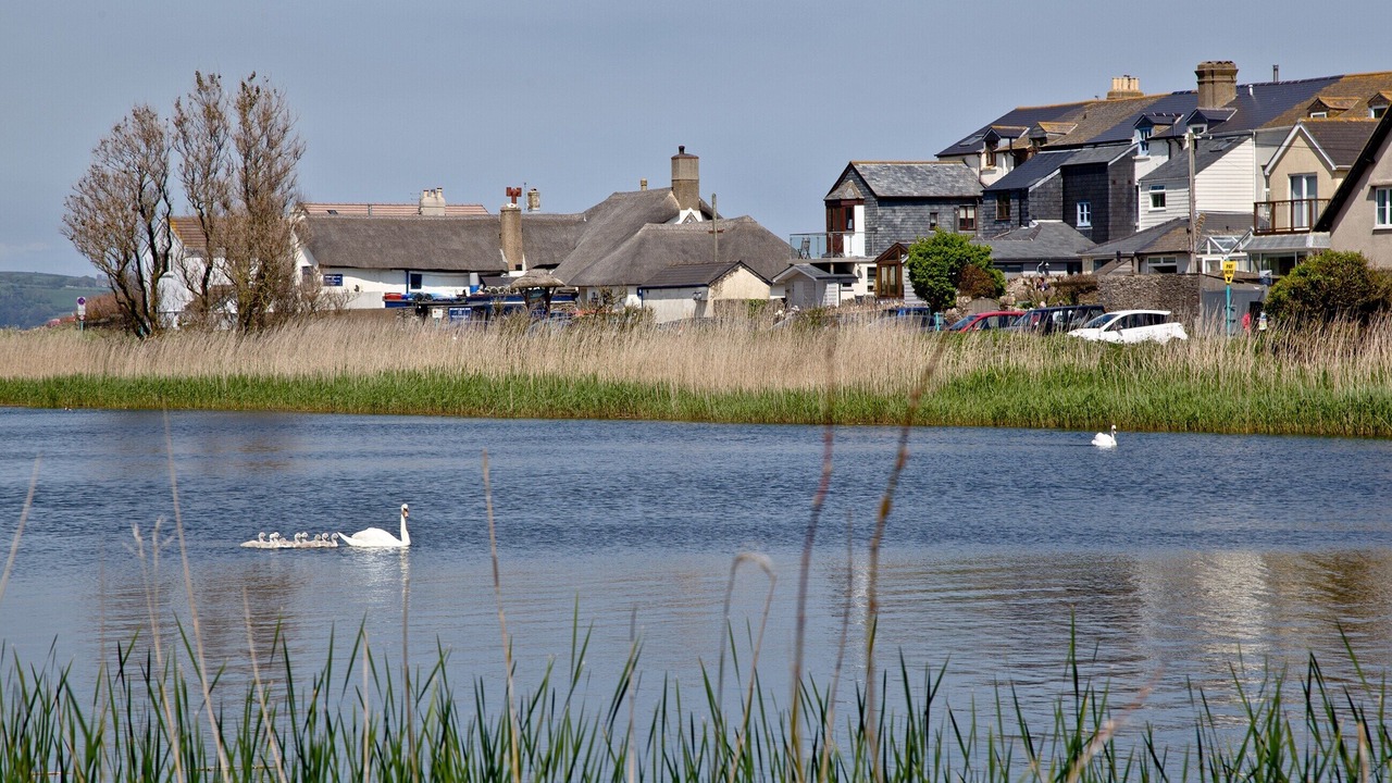 Photo of Others in Torcross