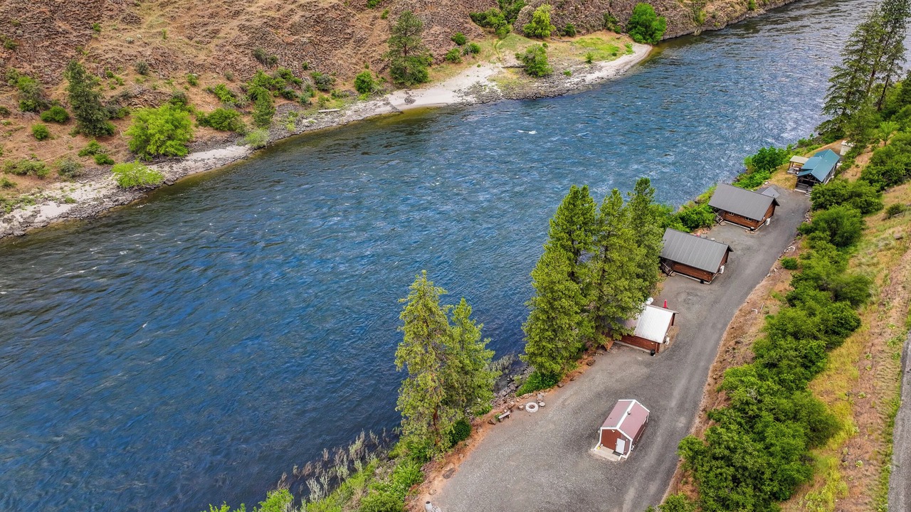 Photo of Outdoor in White Bird