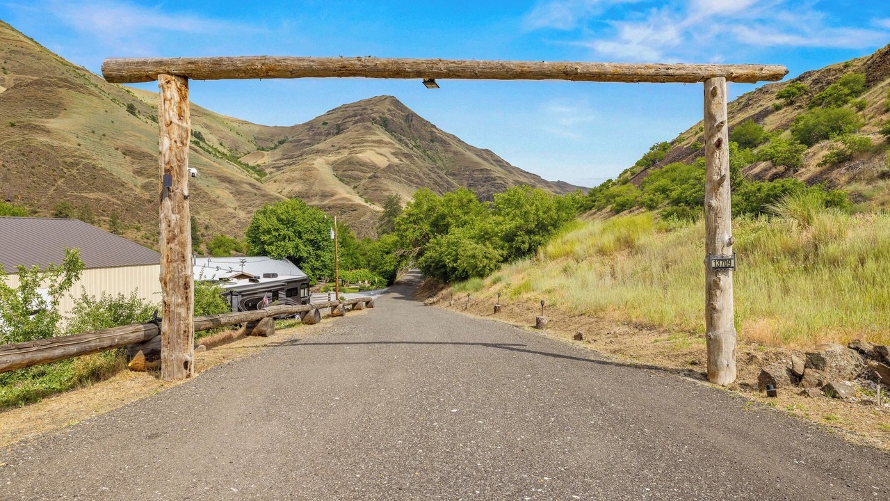 Photo of Others in White Bird