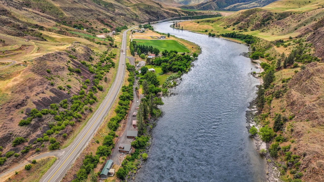 Photo of Outdoor in White Bird