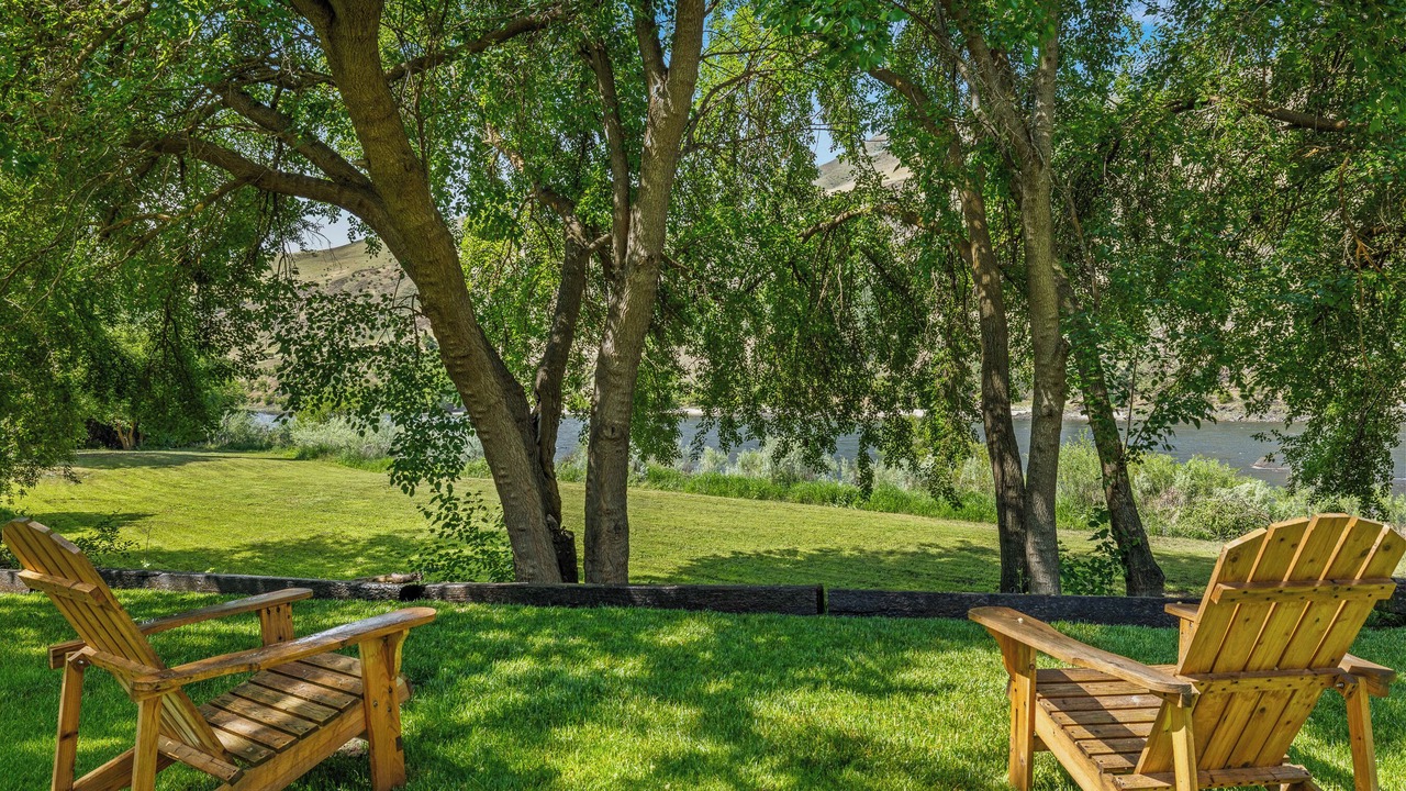 Photo of Outdoor in White Bird