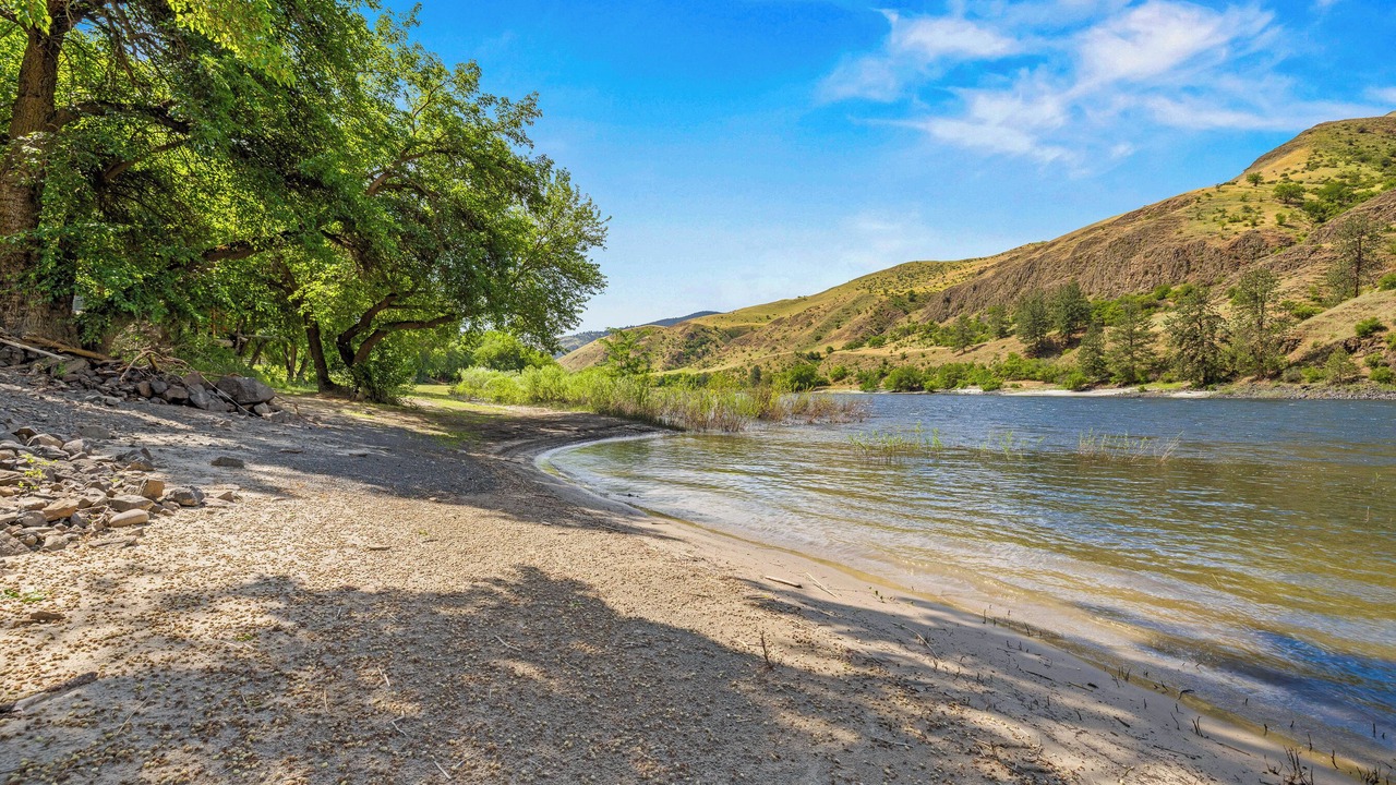 Photo of Others in White Bird