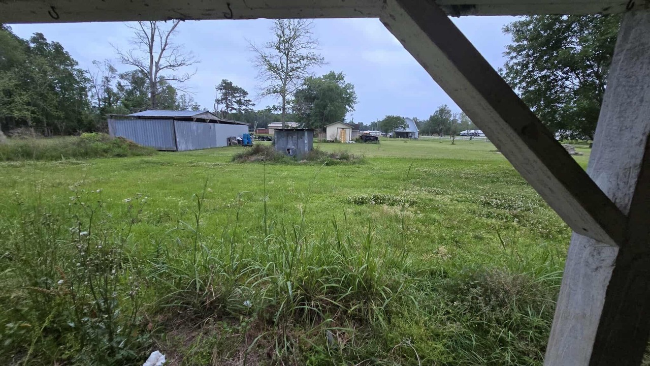 Photo of Outdoor in Orange