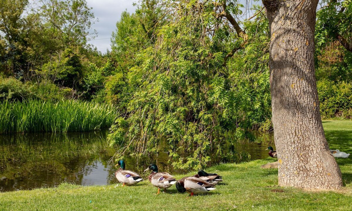 Photo of Others in Marston Moretaine