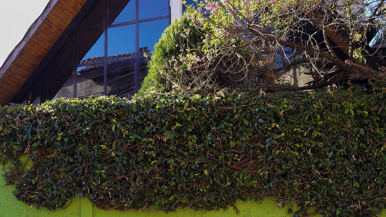 Photo of Outdoor in San Cristobal de las Casas