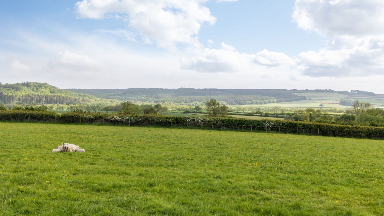 Photo of Others in Ampleforth