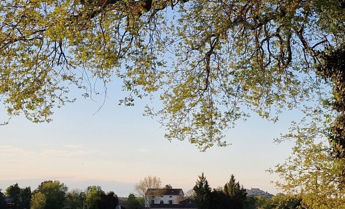 Photo of Others in Monflanquin