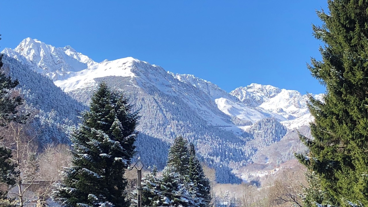 Photo of Others in Campan