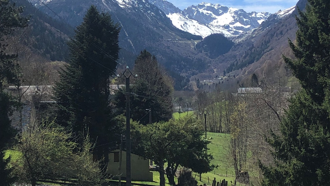 Photo of Others in Campan