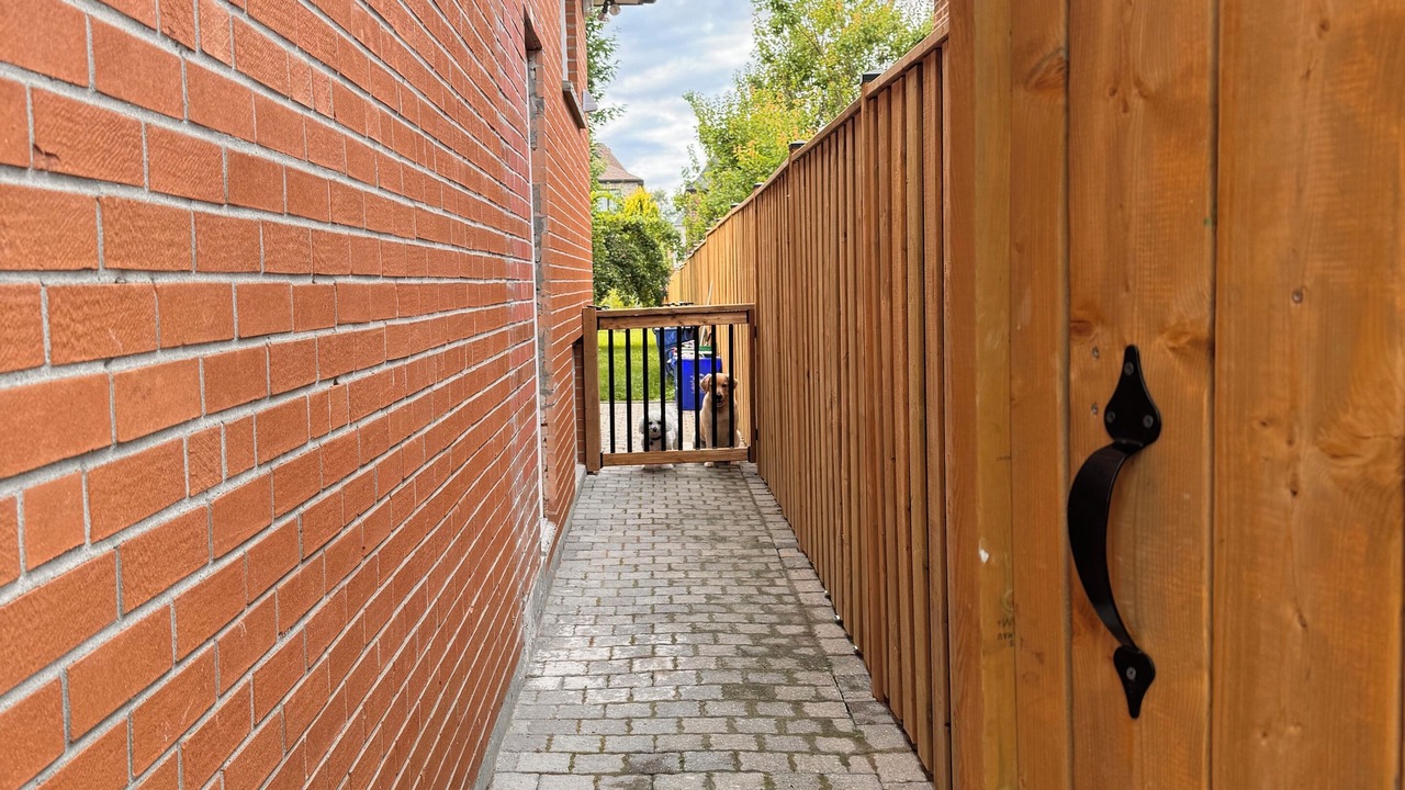 Photo of Others in Richmond Hill