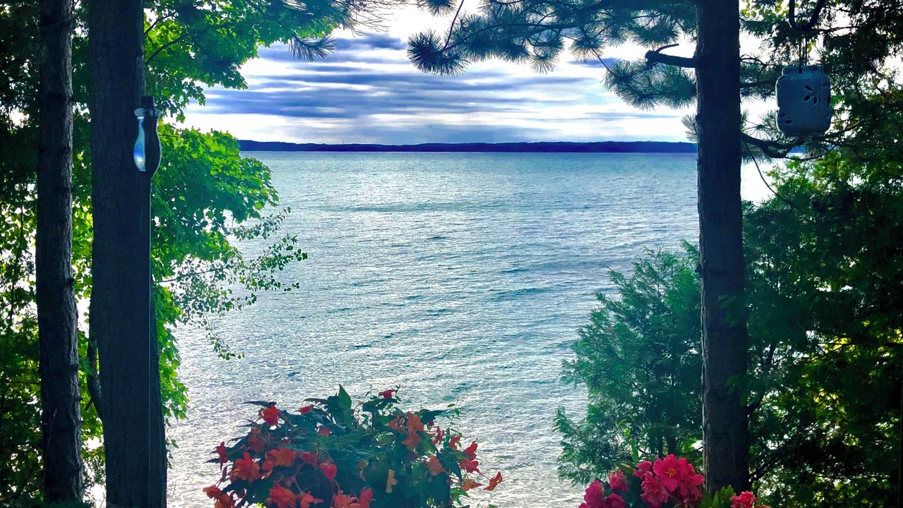 Photo of Others in Traverse City