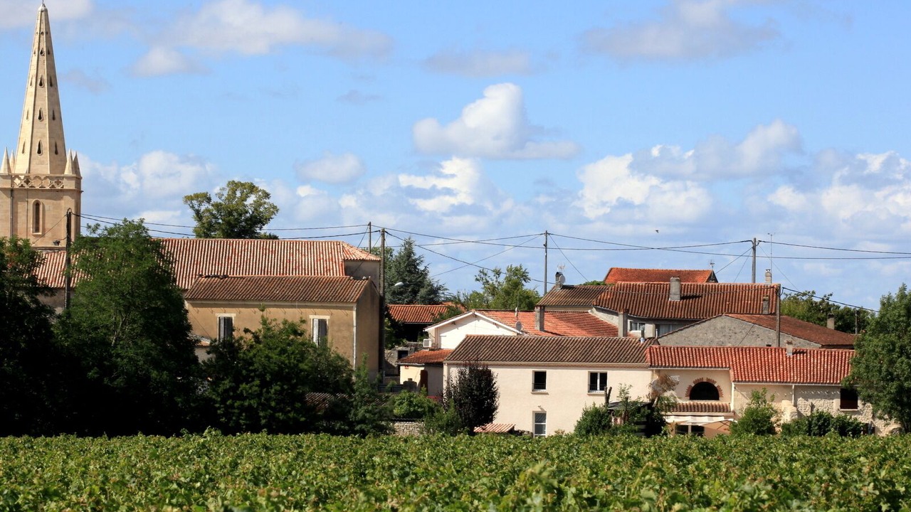 Photo of Others in Saint-Seurin-de-Cadourne