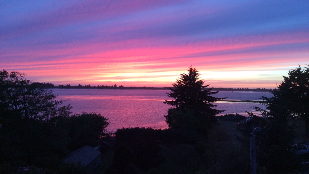 Photo of Others in Barview