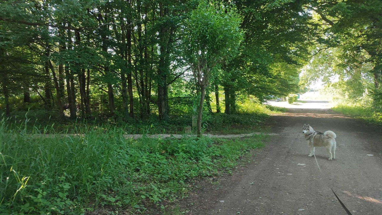 Photo of Others in Ville-sur-Lumes