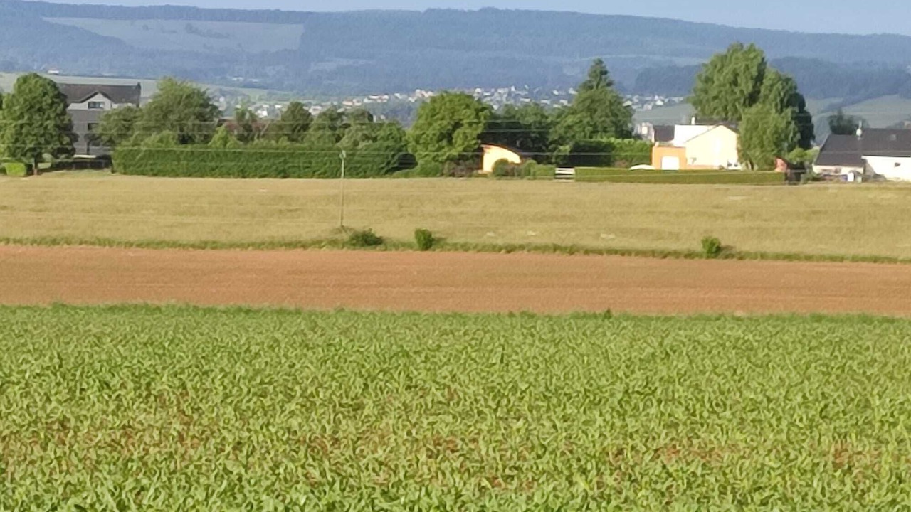 Photo of Others in Ville-sur-Lumes