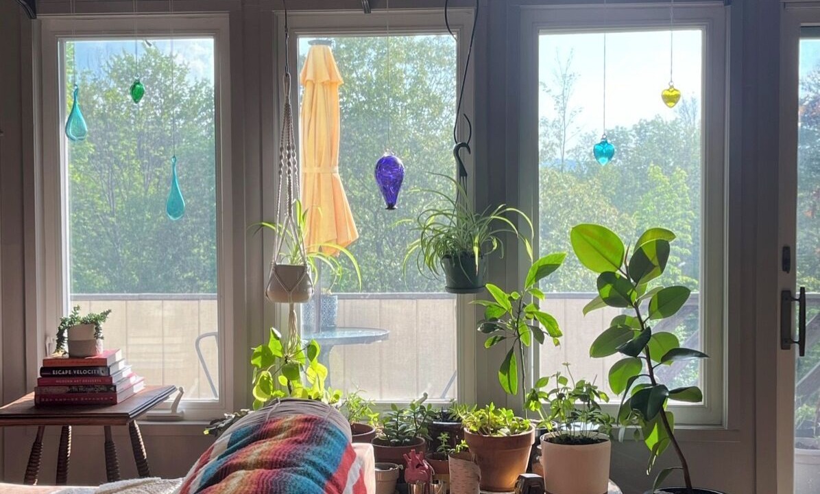 Photo of Others in Denver