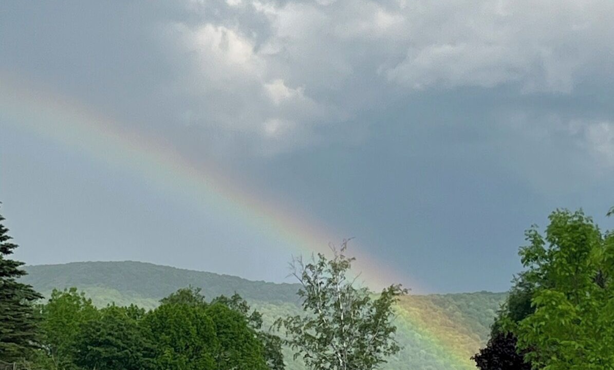 Photo of Others in Denver