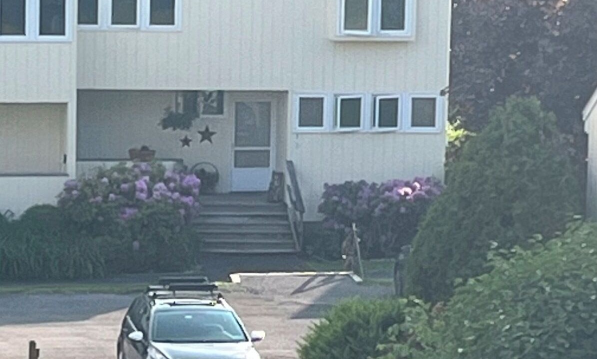 Photo of Others in Denver