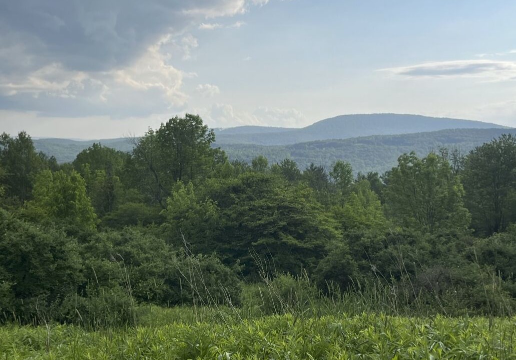 Photo of Others in Denver