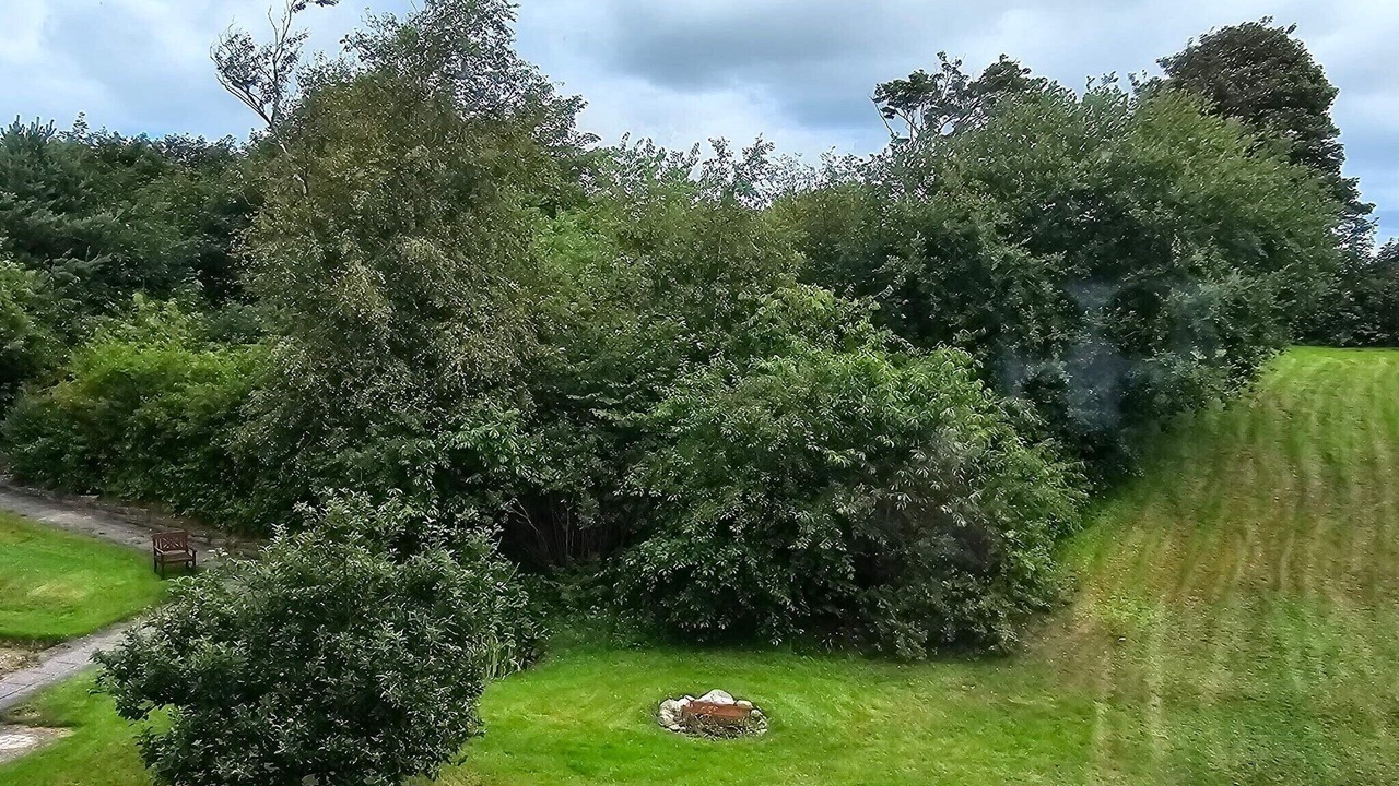 Photo of Outdoor in Lemvig