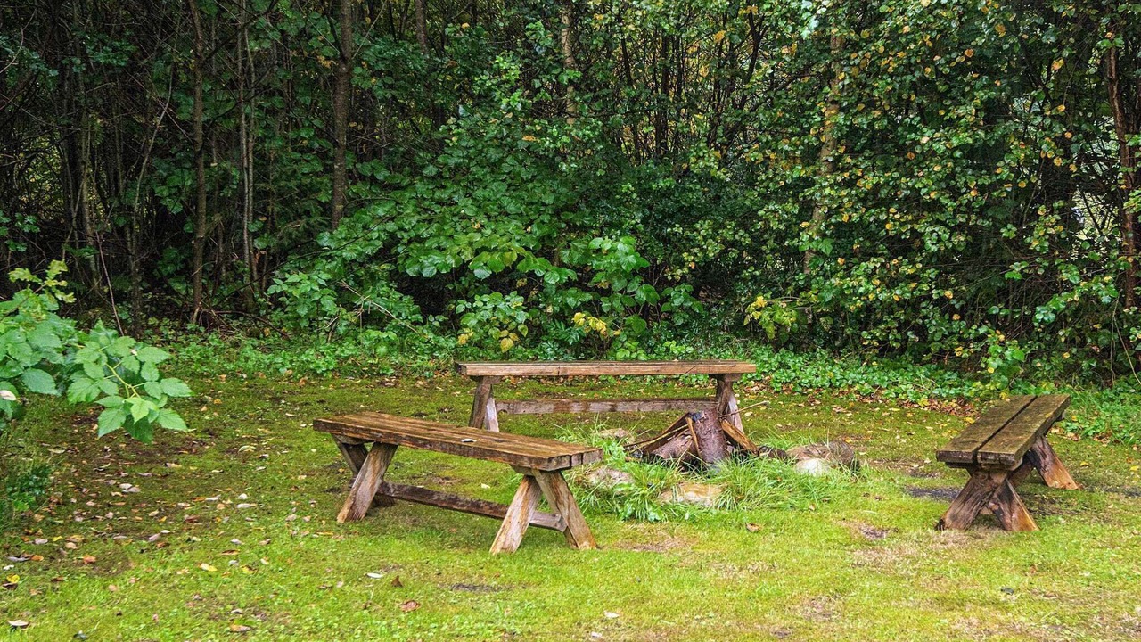 Photo of Others in Skovgaarde