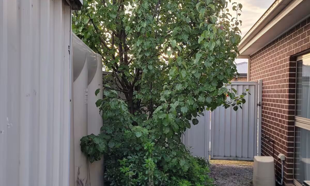 Photo of Others in Traralgon