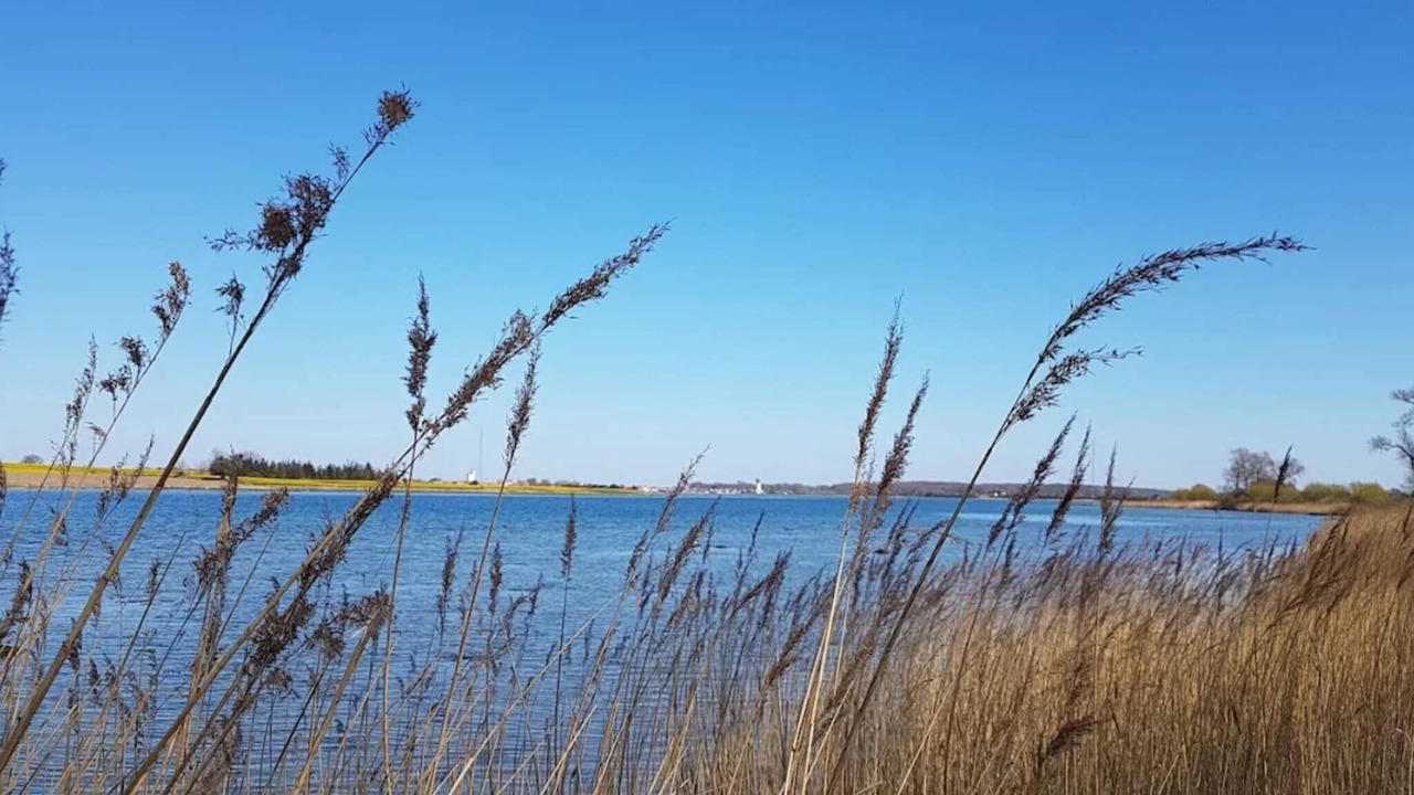 Photo of Others in Martofte