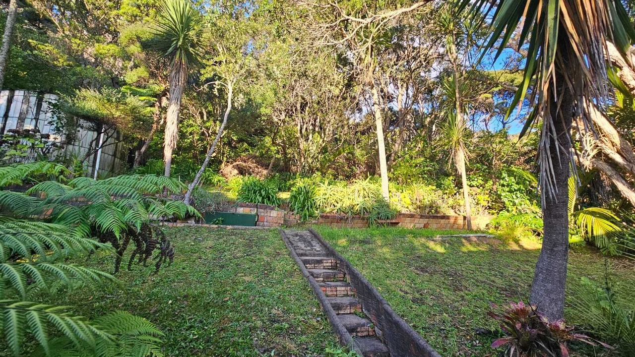 Photo of Others in Piha