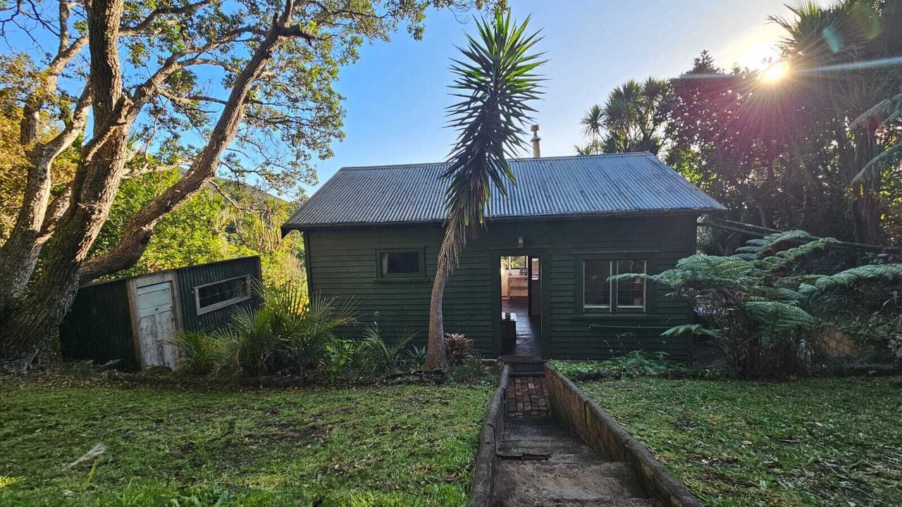 Photo of Others in Piha