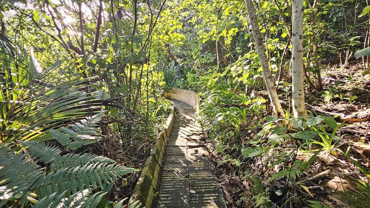 Photo of Others in Piha